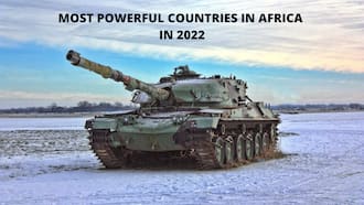 Top 20 most powerful countries in Africa 2022 (by Global Fire Power Index report)