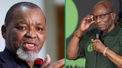 Gwede Mantashe: No Need for Zuma Expulsion, ANC National Chairperson Asserts