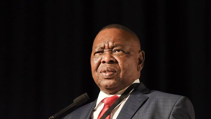 Blade Nzimande age, wife, qualifications, contacts, speech