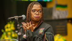 "ANC must discipline members": Cosatu president slams squabbling ANC leaders