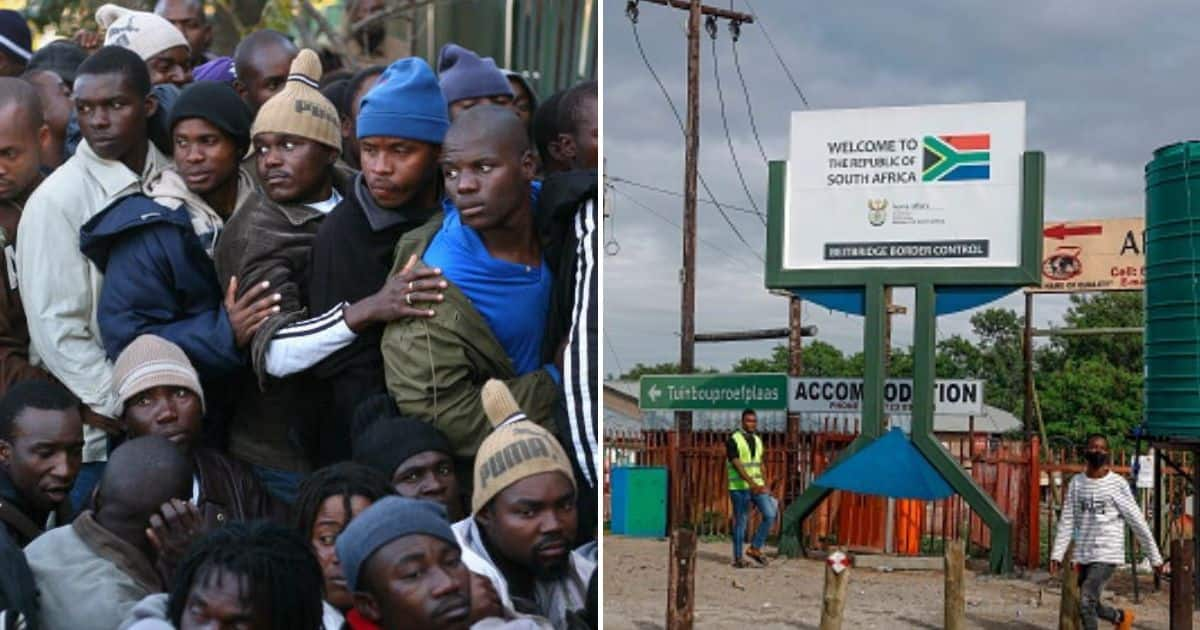 Illegal Zimbabweans Trying To Leave South Africa Turned Back At ...