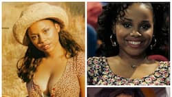 Michelle Thomas' biography, age at death, siblings, parents, movies, net  worth 