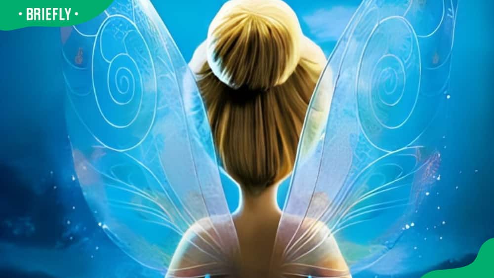 Tinker Bell discovers Periwinkle