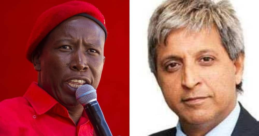 Julius Malema lashes out at Adam Habib, comparing tea with Zuma to Nazi meeting