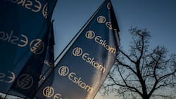 Eskom suffering from effects of meter tampering, vandalism and theft