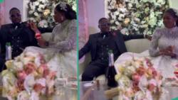 Groom refuses food from bride for not going on knees, TikTok of tension has viewers raving