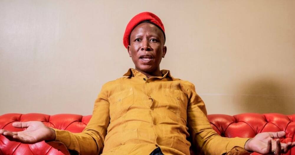 EFF, Politics, Instagram, Mzansi, Social Media, Julius Malema, Exposes Online Impersonator, Help Report Fake Account