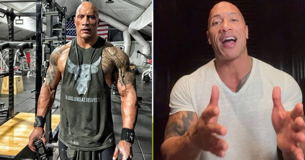 The Rock Shares Hilarious Video of Cow Doing His Signature Eyebrow Raise  Move, Peeps in Stitches: “So Funny” 