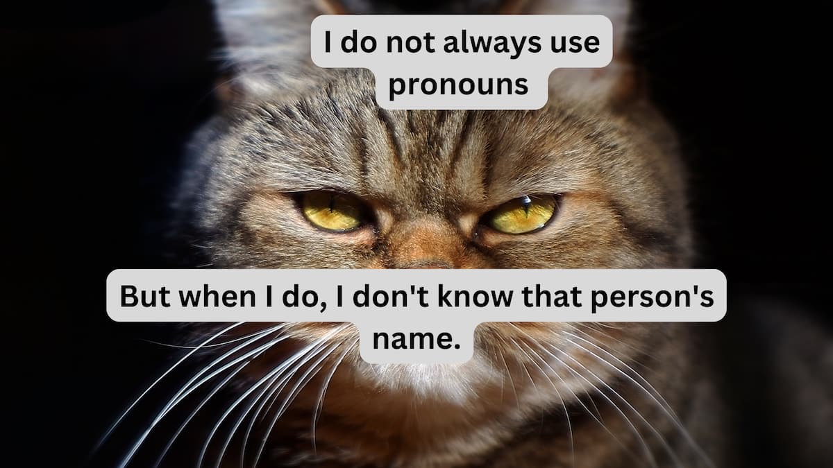 Top 50 funny pronouns: funny responses to 'what are your pronouns?' - Top 50 funny pronouns: funny responses to 'what are your pronouns?' -