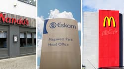 Eskom catches stray bullets as Nando's and McDonald's throw shade amid viral Twitter banter, Mzansi in stitches