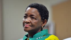 Former Social Development Minister Bathabile Dlamini found guilty of perjury during social grants inquiry