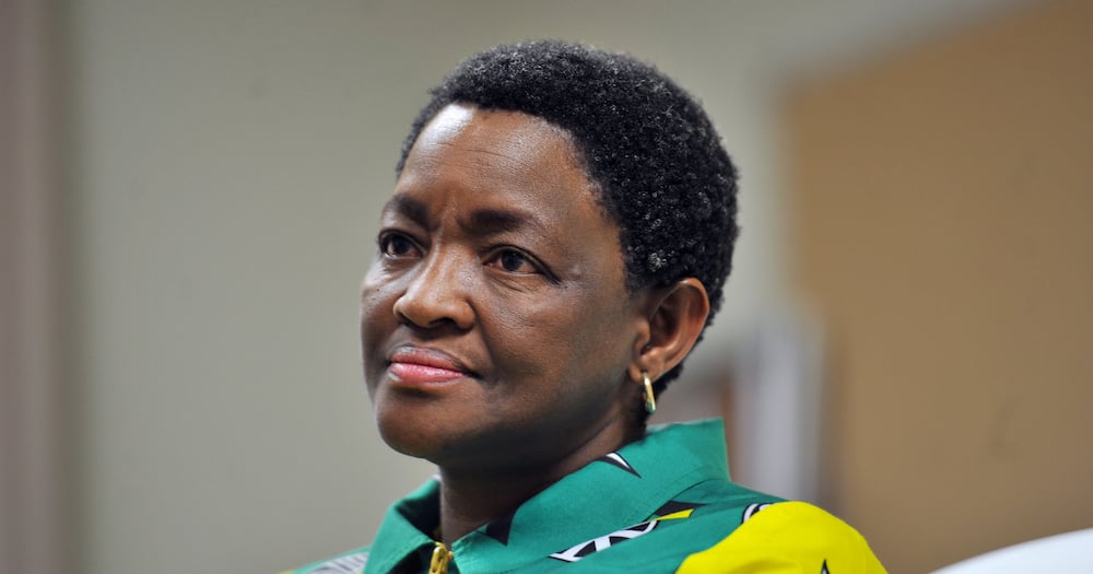 Former Social Development Minister, Bathabile Dlamini, found guilty of perjury, social grants, ANC Women's League president