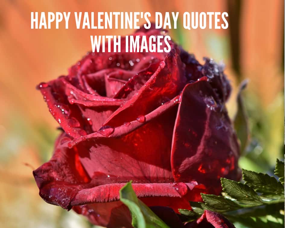 15 happy Valentines day quotes with images 15 happy Valentines day quotes with images