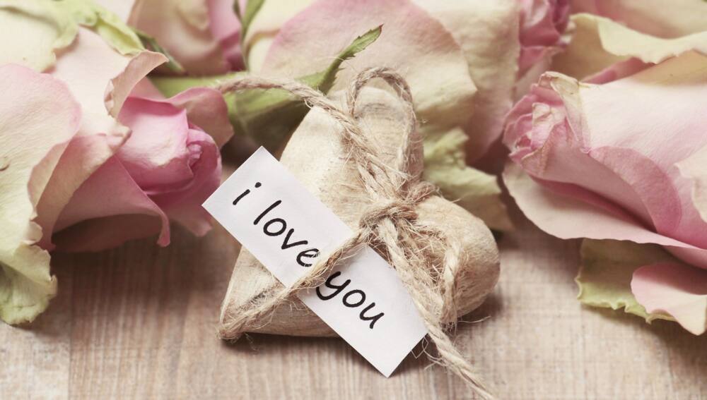 Valentines day quotes funny Valentines day quotes funny