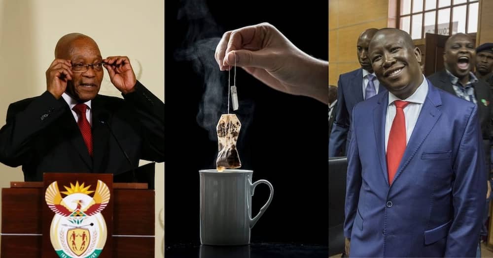 What's the tea: Mzansi speculates on Zuma and Malema's Nkandla teatime