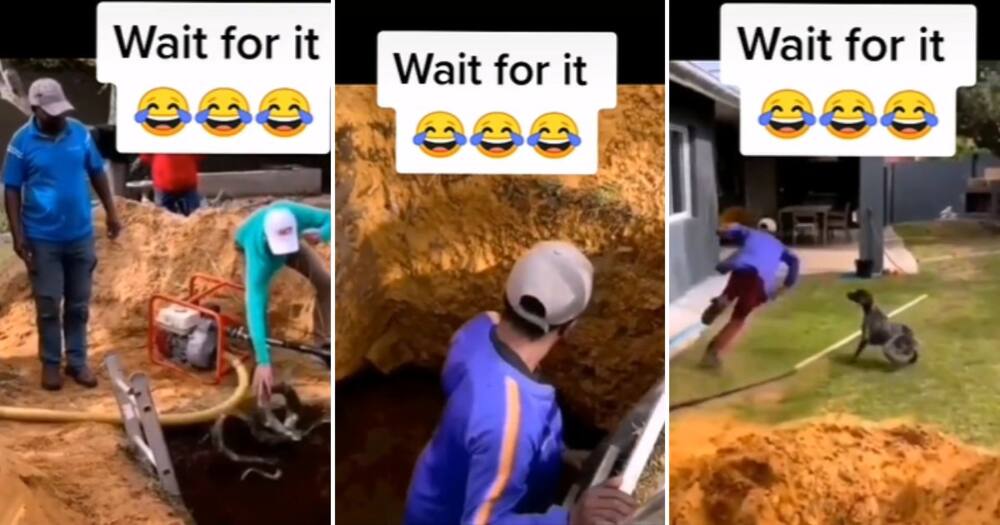 Co-workers Prank Unsuspecting Man With Fake Snake as He Climbs Down Ladder Into Deep Hole in Funny Video Co-workers Prank Unsuspecting Man With Fake Snake as He Climbs Down Ladder Into Deep Hole in Funny Video