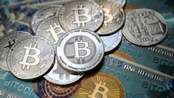 Three out of four bitcoin investors have lost money: study