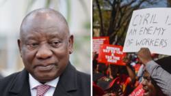 Mzansi fed up with upsurge in corruption, losing faith in Cyril Ramaphosa