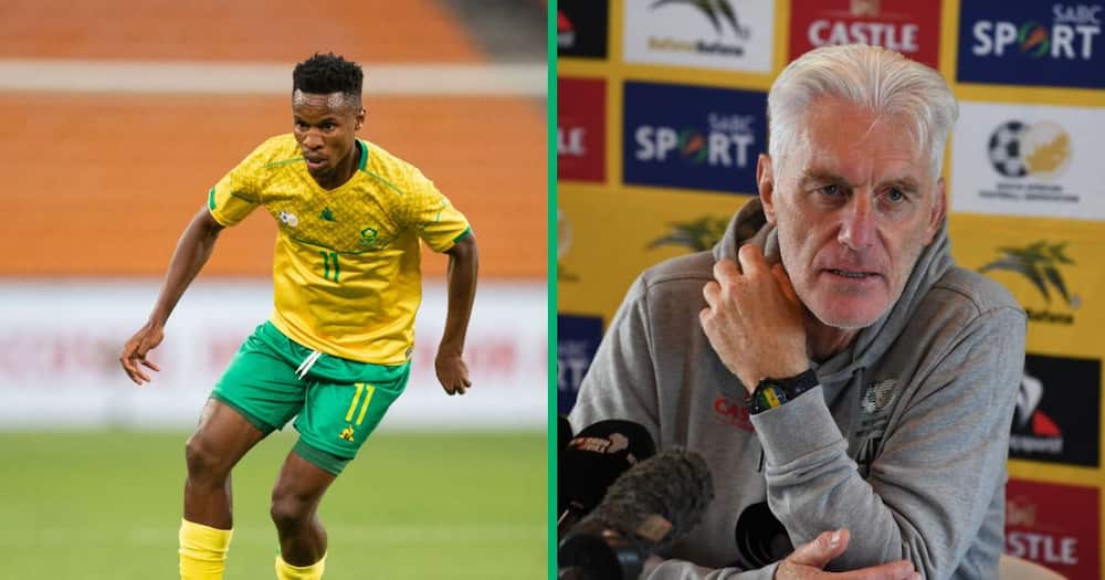 Bafana Bafana coach Hugo Broos admitted that he was wrong about Themba Zwane