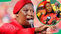 Julius Malema's net worth: Salary, cars, house and businesses