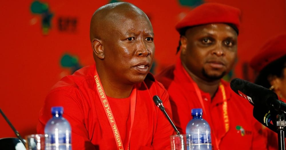 Malema calls SANEF out for alleged comments, forum denies claims