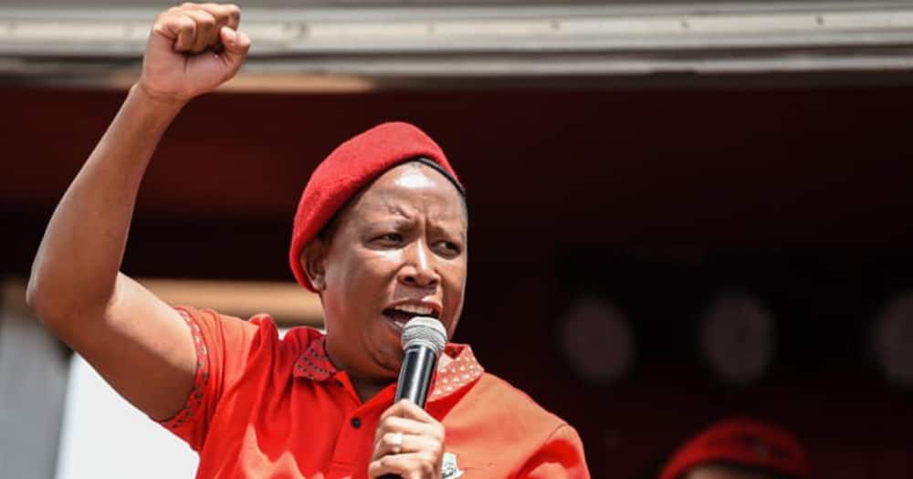 Malema Tells South Africa, "You Are Not the Children of Cowards"