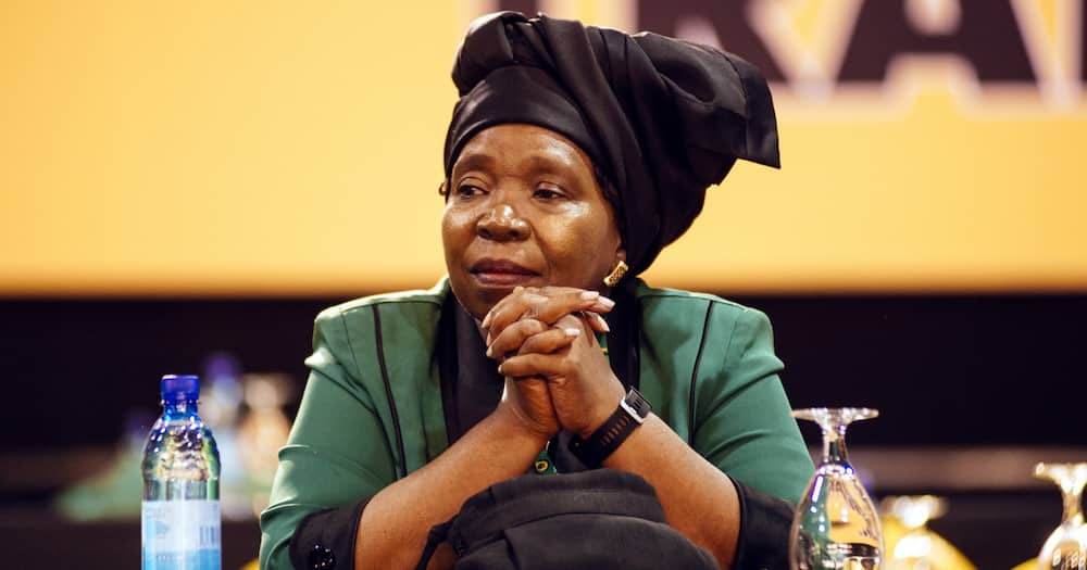 Nkosazana Dlamini Zuma Turns 73: A Look at Her Life and Career on Her Birthday