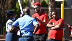 Budget Speech 2022: EFF wants ANC to reject World Bank loans, protests ensue