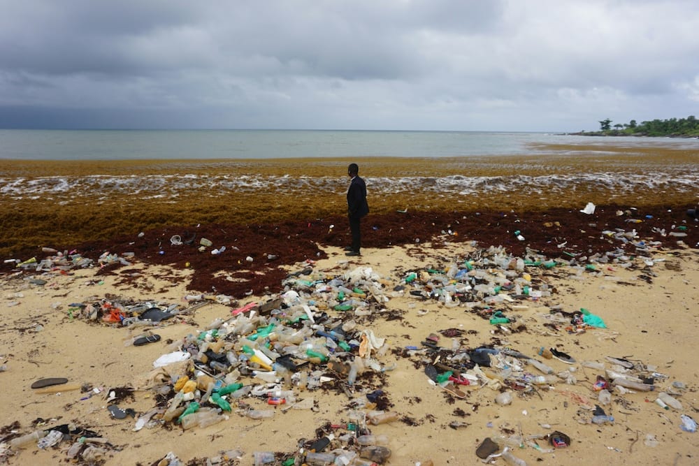 Sierra Leone's National Tourist Board has appealed for help in cleaning up the coastline