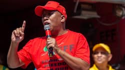 EFF's Julius Malema pokes fun at AfriFourm, claims the group will be defeated again in "Kill the Boer" appeal