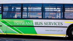 TUT bus registration requirements and procedure (guide)