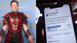 Elon Musk promises to resign as Twitter CEO after finding a replacement, tweeps celebrate: “Bye space guy”