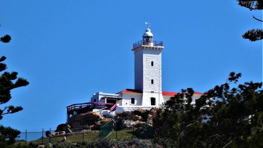 Top 15 exciting things to do in Mossel Bay 2019