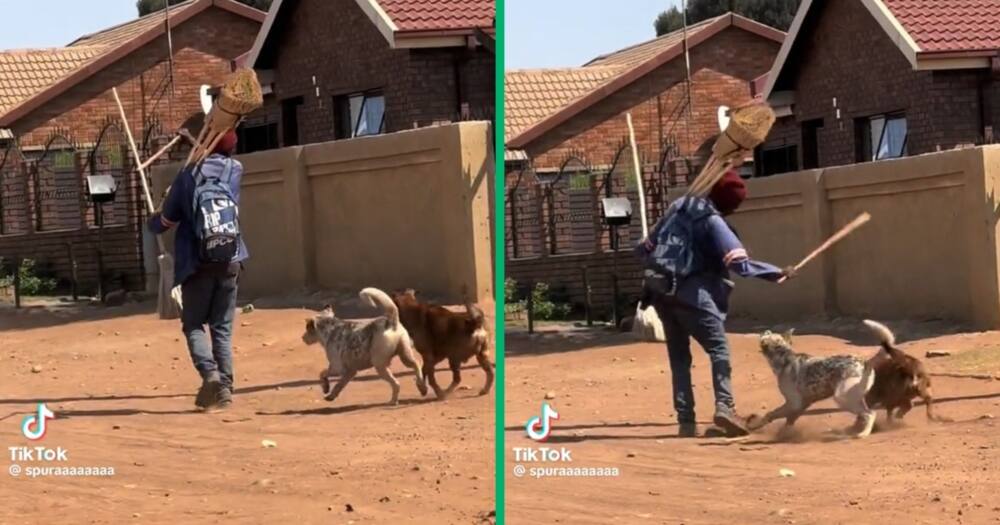 A broom seller hit a dog with a stick