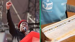 Malema confident EFF will win outright majority in 2024, but Mzansi believes EFF leader is dreaming