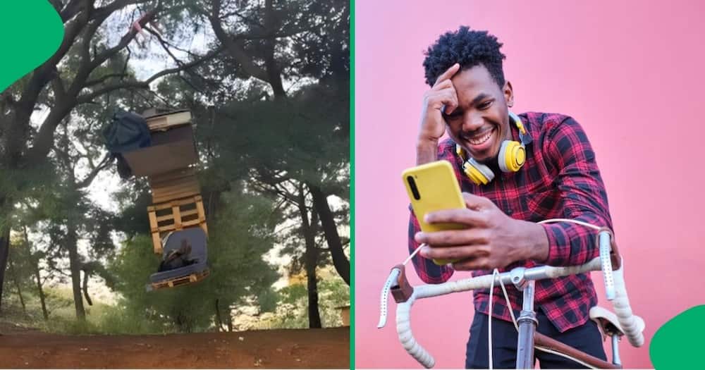 Man's bed hangs from a tree and internet users are confused after seeing it.