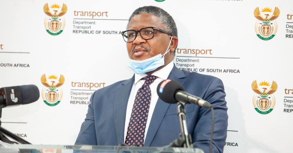 Minister of Transport Fikile Mbalula, grace period, driving licences, March 2022