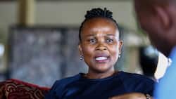 Next Chief Justice: Mkhwebane drops out the race, 6 candidates left: "She was wasting her time"