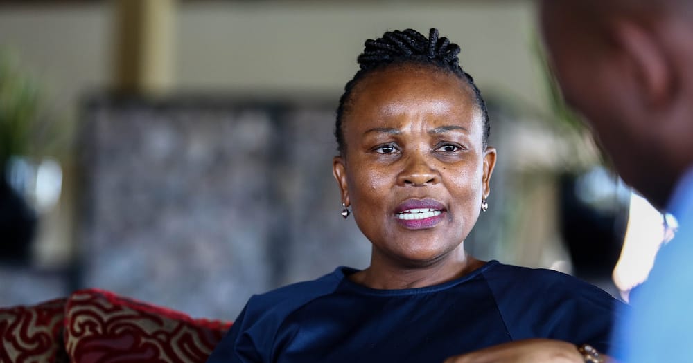 Public Protector Busisiwe Mkhwebane, Impeachment, Western Cape High Court, judgement, Chapter 9