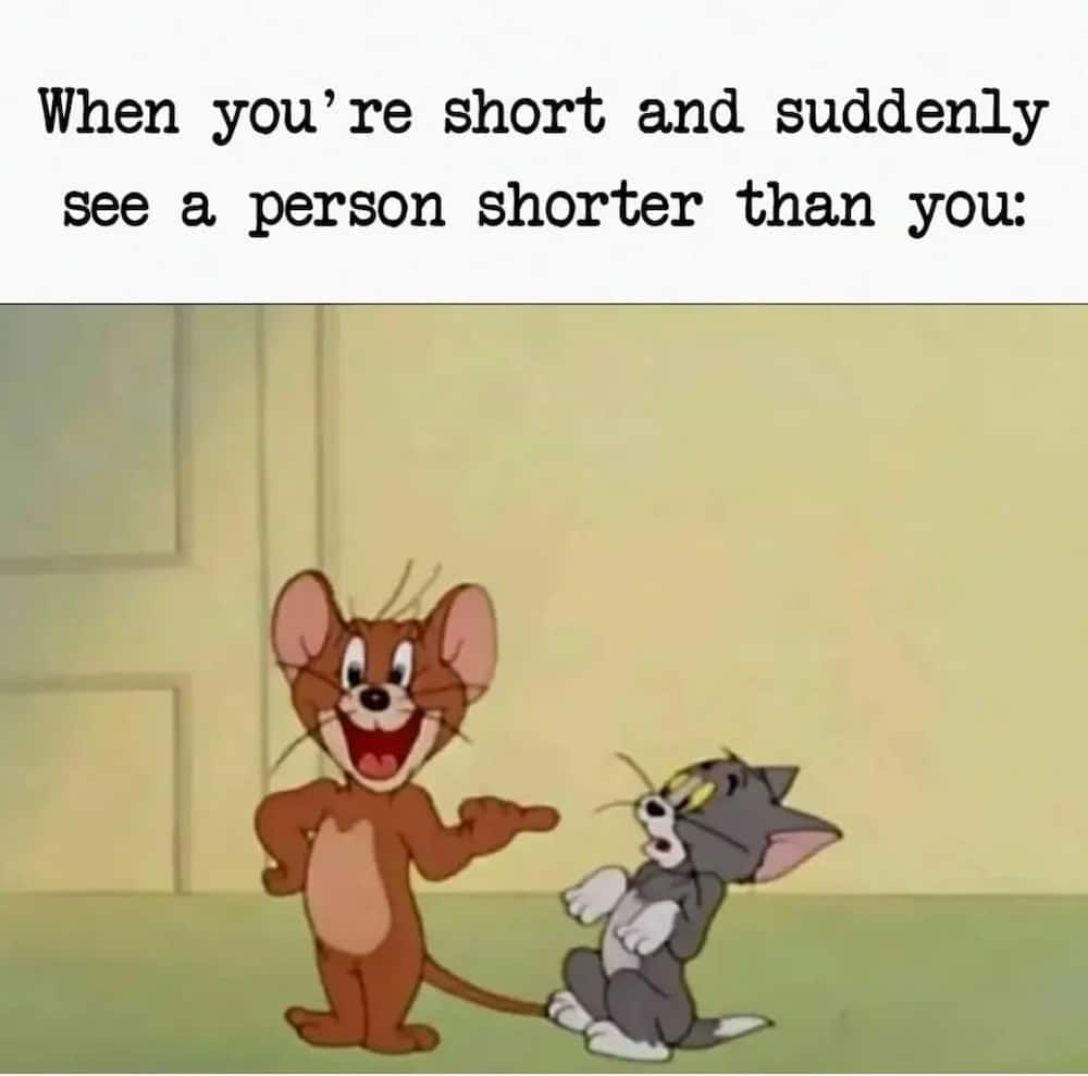 short person problems meme