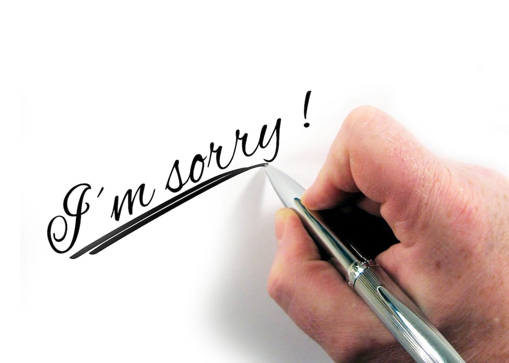 40 melting I am sorry quotes with images 2019 40 melting I am sorry quotes with images 2019