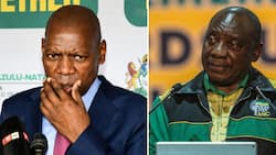 ANC Youth League endorses Zweli Mkhize for ANC presidency, snubs Cyril Ramaphosa