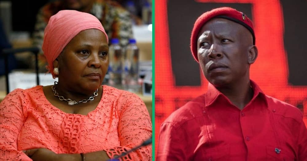 Former Speaker of the National Assembly Nosiviwe Mapisa-Nqakula is being targeted by Julius Malema and his party