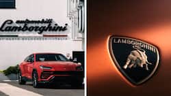 Lamborghini's Urus SUV helped the Italian carmaker earn over R7 billion profit in 2022