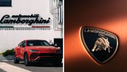 Lamborghini's Urus SUV helped the Italian carmaker earn over R7 billion profit in 2022