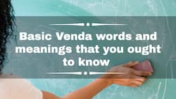 Basic Venda words and meanings that you ought to know | Useful phrases