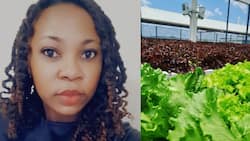 Tshwane Farmer says it takes one step to become successful in agriculture
