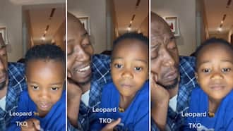 Adorable video of dad who got schooled by his cute son on how to correctly say the world leopard, ends Mzansi