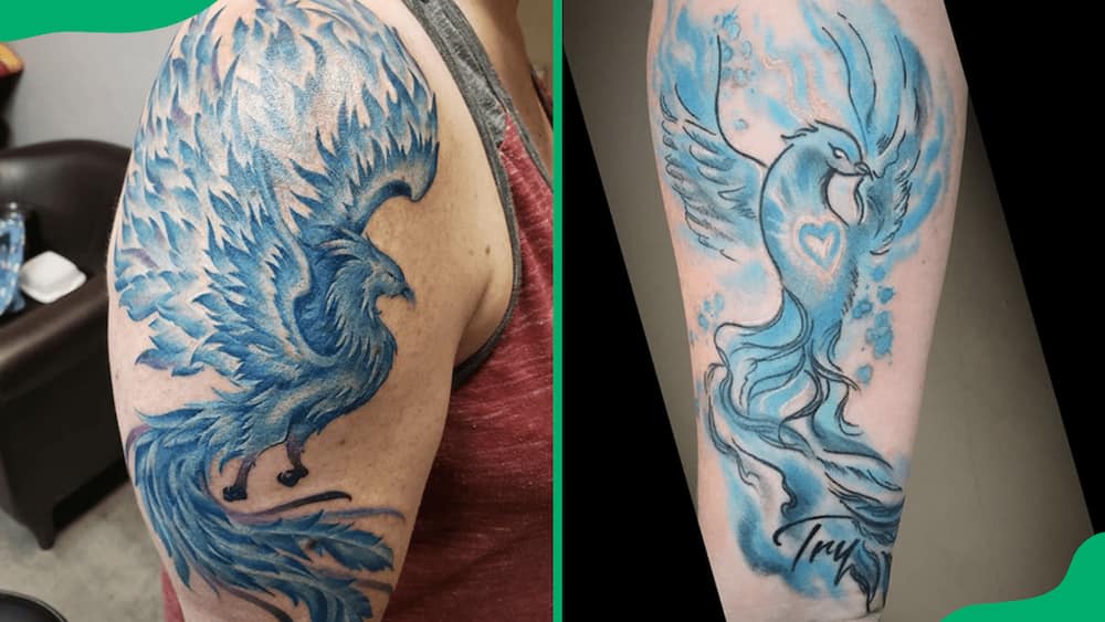 Blue phoenix tattoos