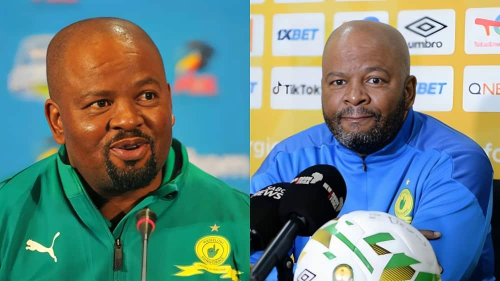 Top 10 Highest-paid PSL Coaches In South Africa In 2024: A Detailed ...